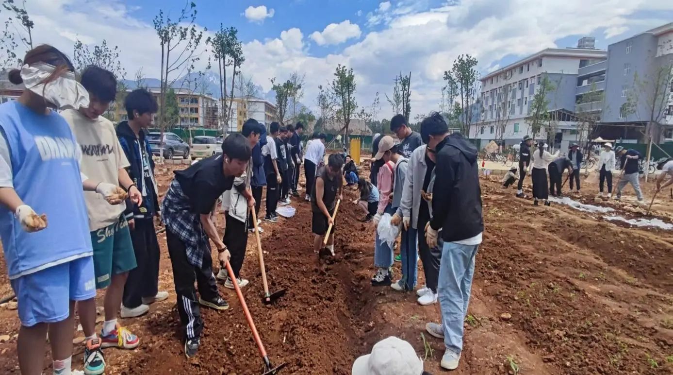 【劳动教育】躬身育人探真知 耕稼励耘种未来——旅院师生走进劳动实践基地